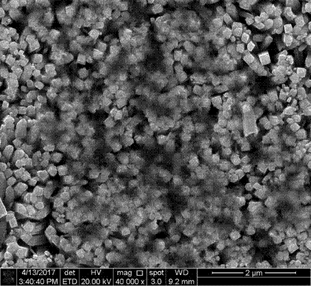 Gold-modified phosphorus-doped carbon nitride composite material modified titanium dioxide photoelectrode and preparation method and application thereof