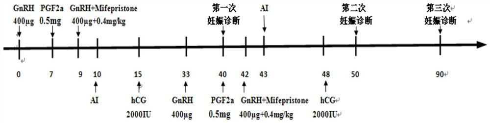 A treatment method of hybrid buffalo estrus synchronism-timing insemination