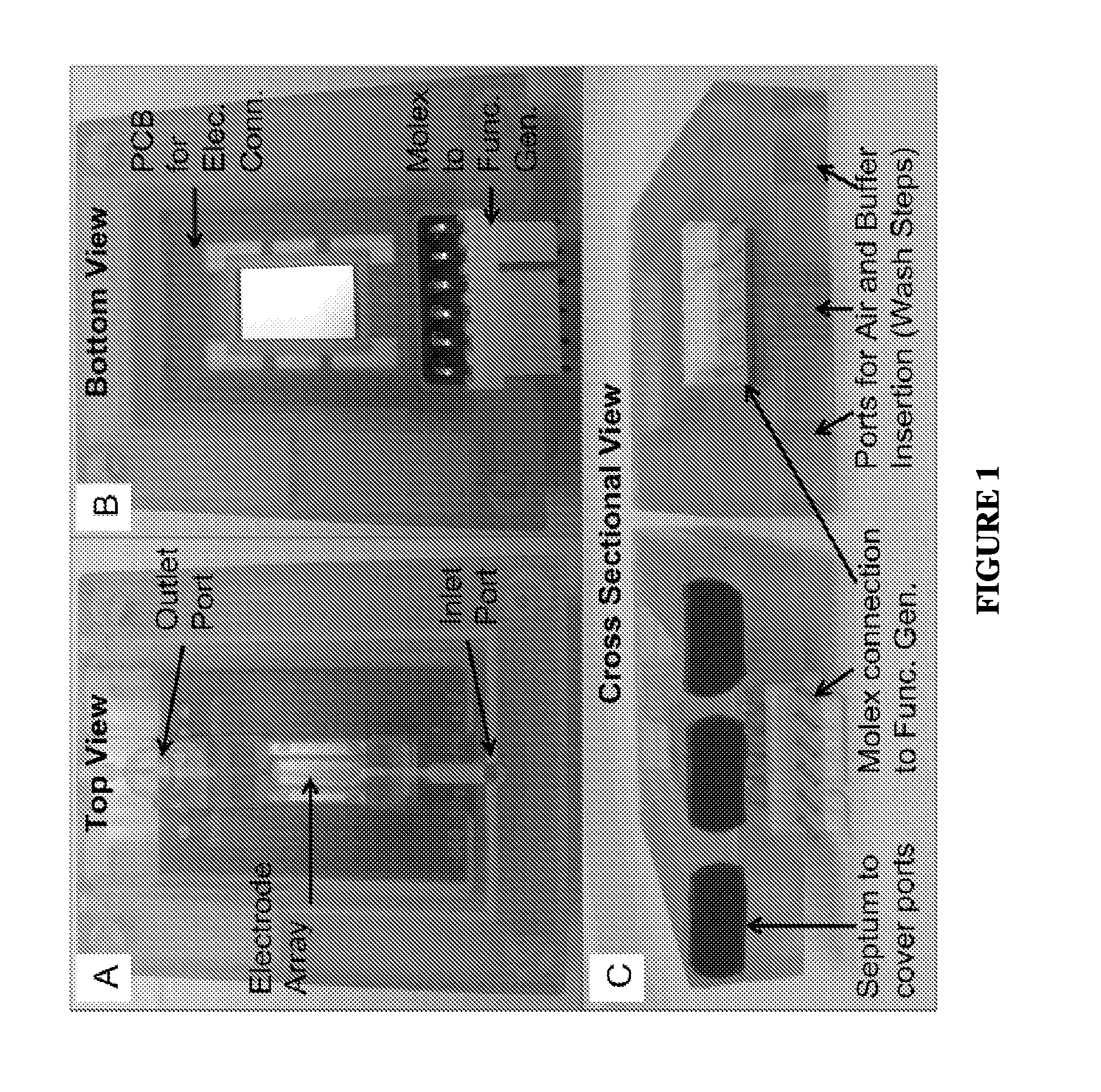 Nucleic acid sample preparation