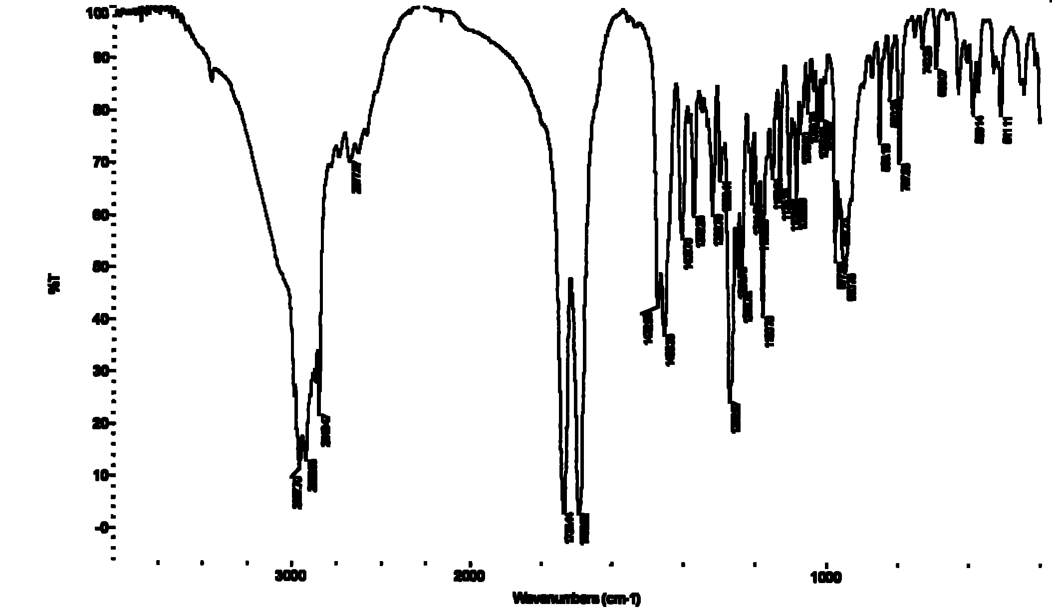 Method for preparing isosteviol and sophorose at the same time