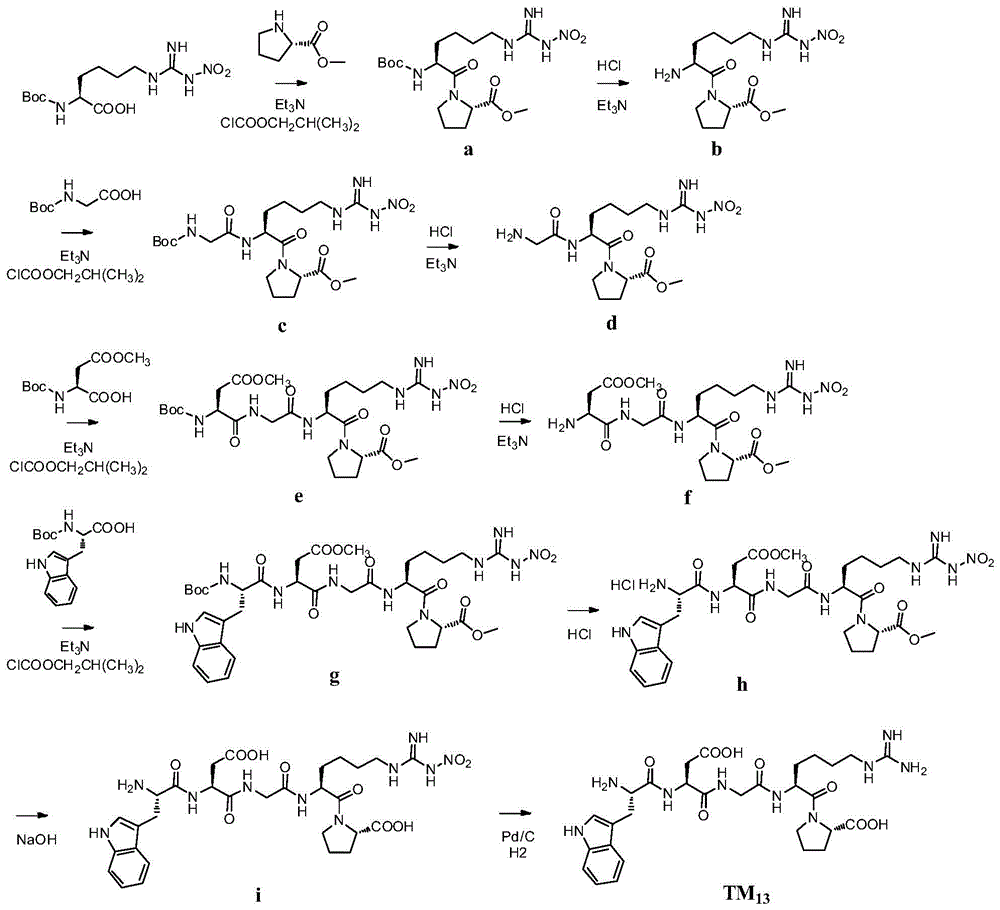 Anticoagulant compound, preparation method and application of anticoagulant compound and drug composition containing anticoagulant compound