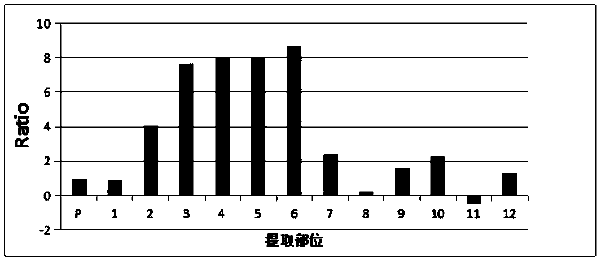 Method for preparing PD-1/PD-L1 inhibitor from thalictrum elegans