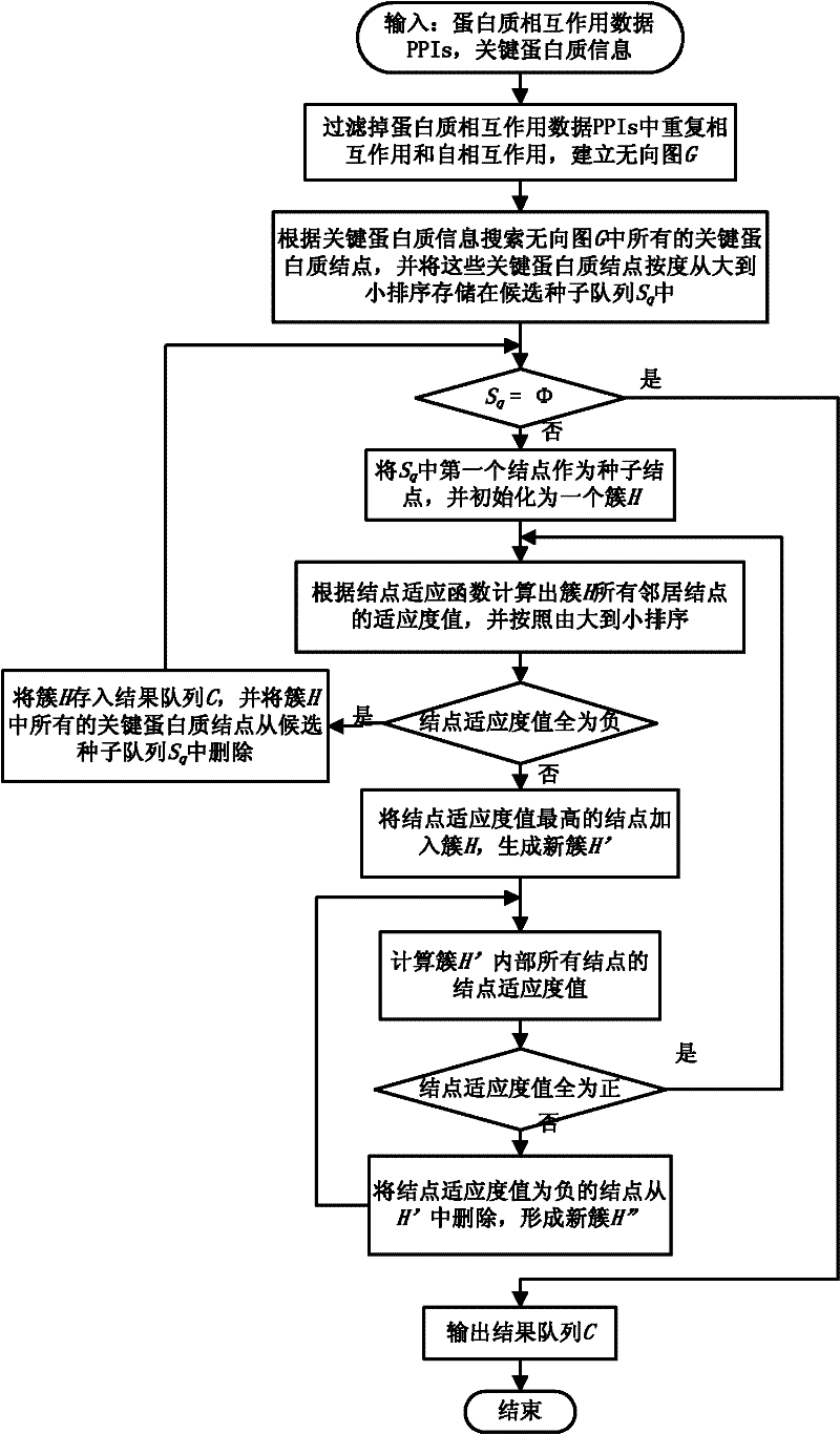 Protein complex identification method based on key protein and local adaptation