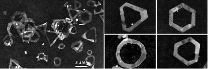 A method for preparing silver micron hollow frame structure material