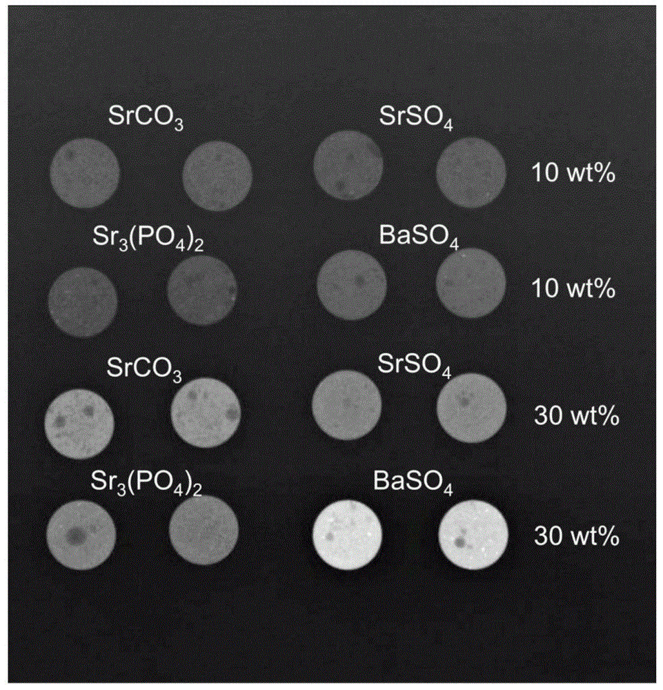 Development bone cement and its preparation method and use