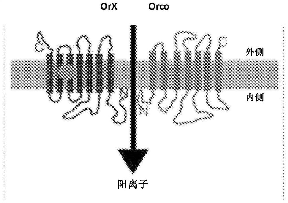 Biosensor device and methods