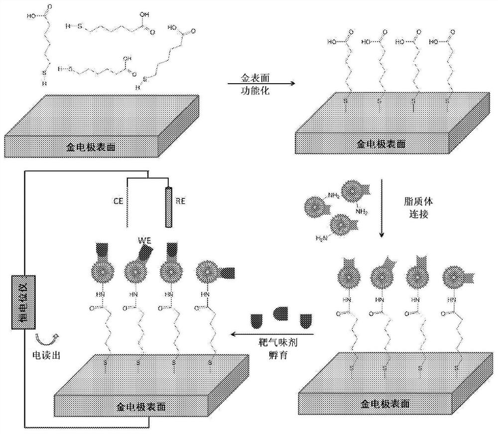 Biosensor device and methods