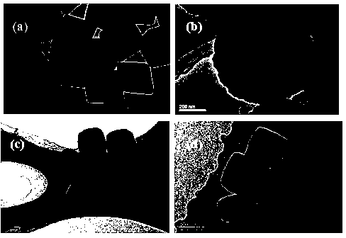 Preparation method of cubic cuprous oxide nano material