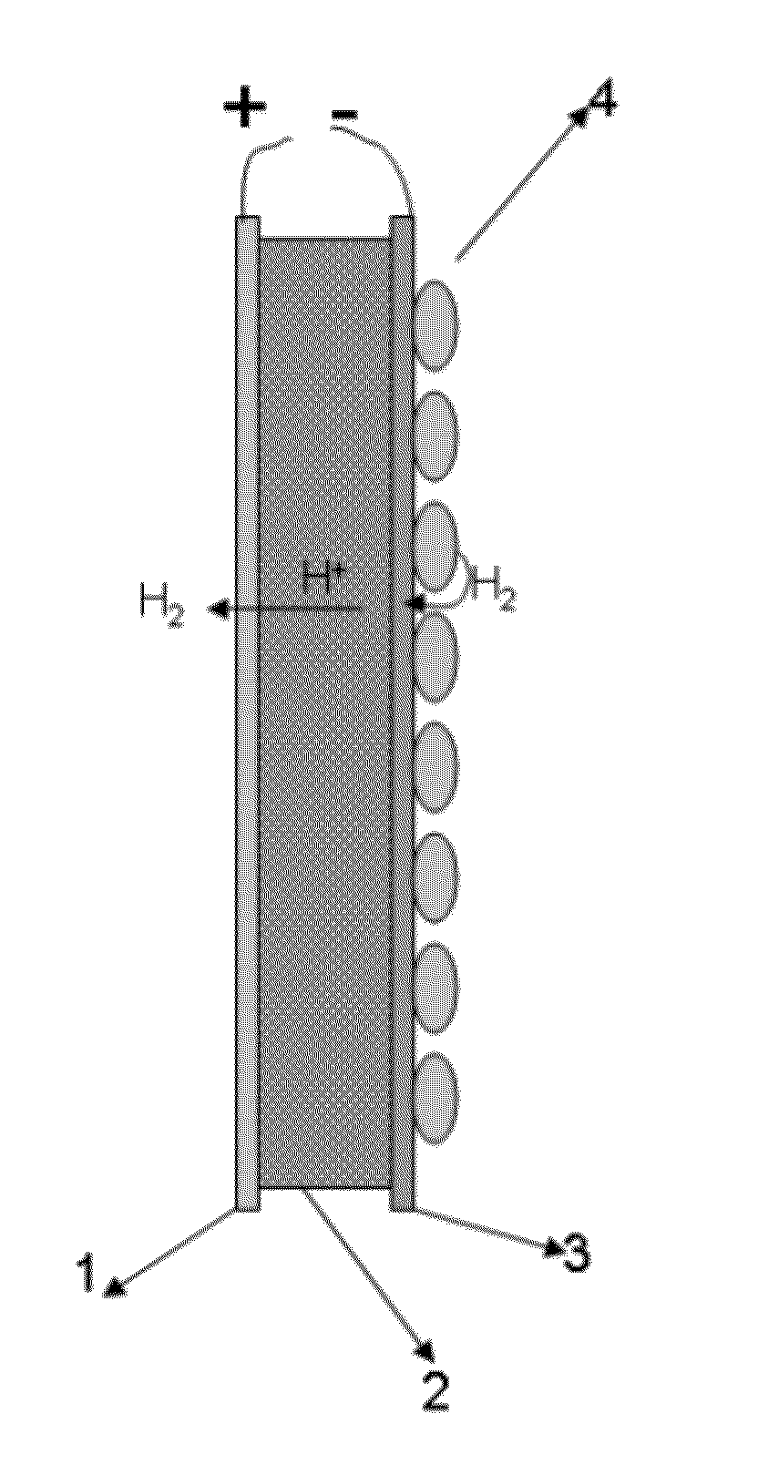 Hydrogen or oxygen electrochemical pumping catalytic membrane reactor and its applications