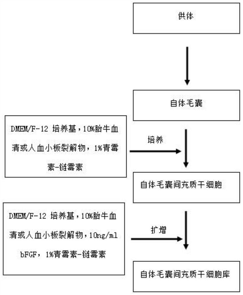 Culture medium for in-vitro amplification of autologous human hair follicle mesenchymal stem cells and culture method thereof