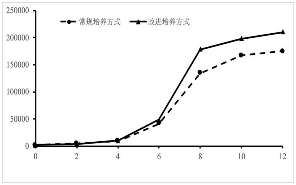 Culture medium for in-vitro amplification of autologous human hair follicle mesenchymal stem cells and culture method thereof