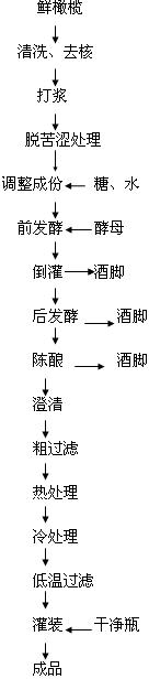 Production technology of fructus phyllanthi wine