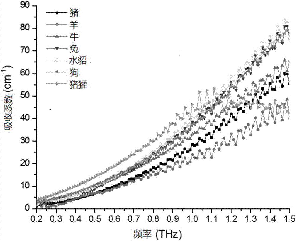 Quick nondestructive detection method for leather types based on terahertz spectrum technology