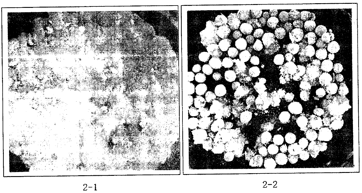 Disintegrating magnesium-containing granular fertilizer and preparation method thereof