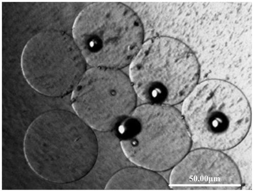 Agricultural microbial agent microcapsule based on cell membrane mimicking and preparation method thereof