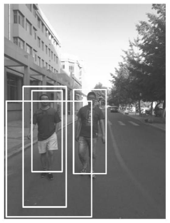 A Preprocessing Method for Pedestrian Target Misdetection Removal