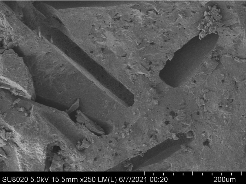 Autotrophic and heterotrophic synergistic denitrification composite nitrogen removal filter material and preparation method thereof