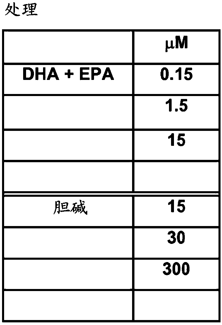 Omega 3 fatty acids and choline as neuroprotectant in patients with no dementia