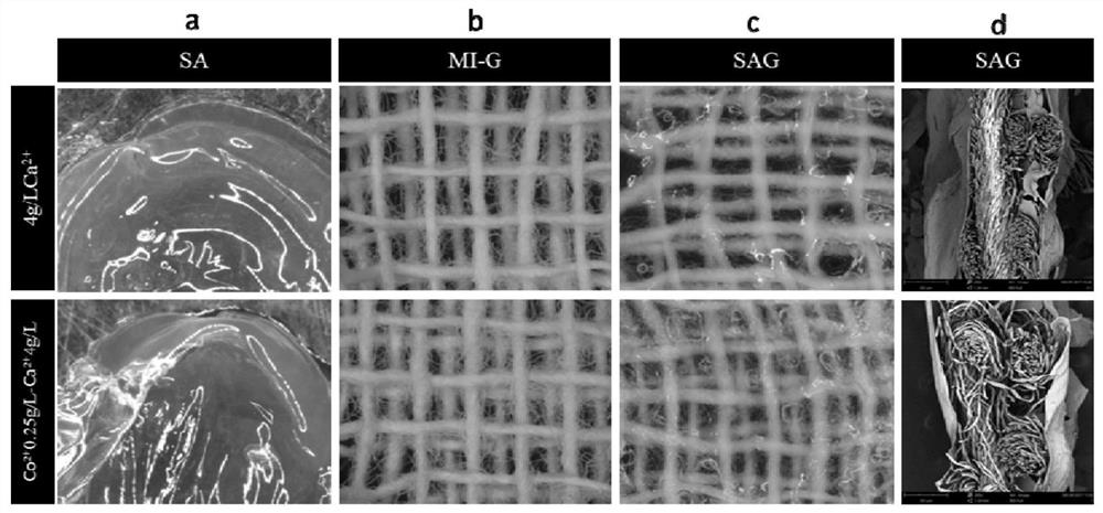 Ion-mediated dressing and its preparation method and application