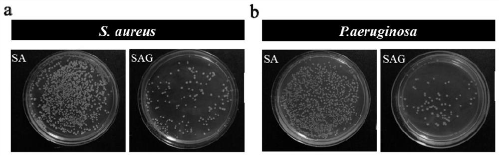 Ion-mediated dressing and its preparation method and application