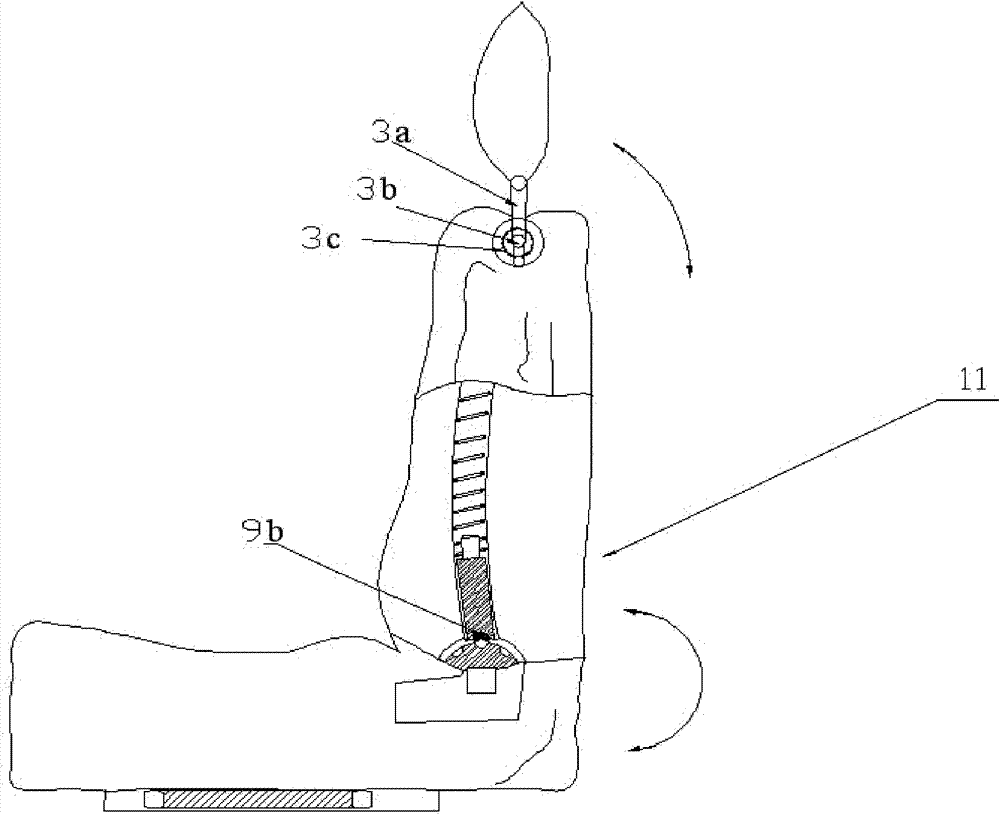 Automobile safety seat