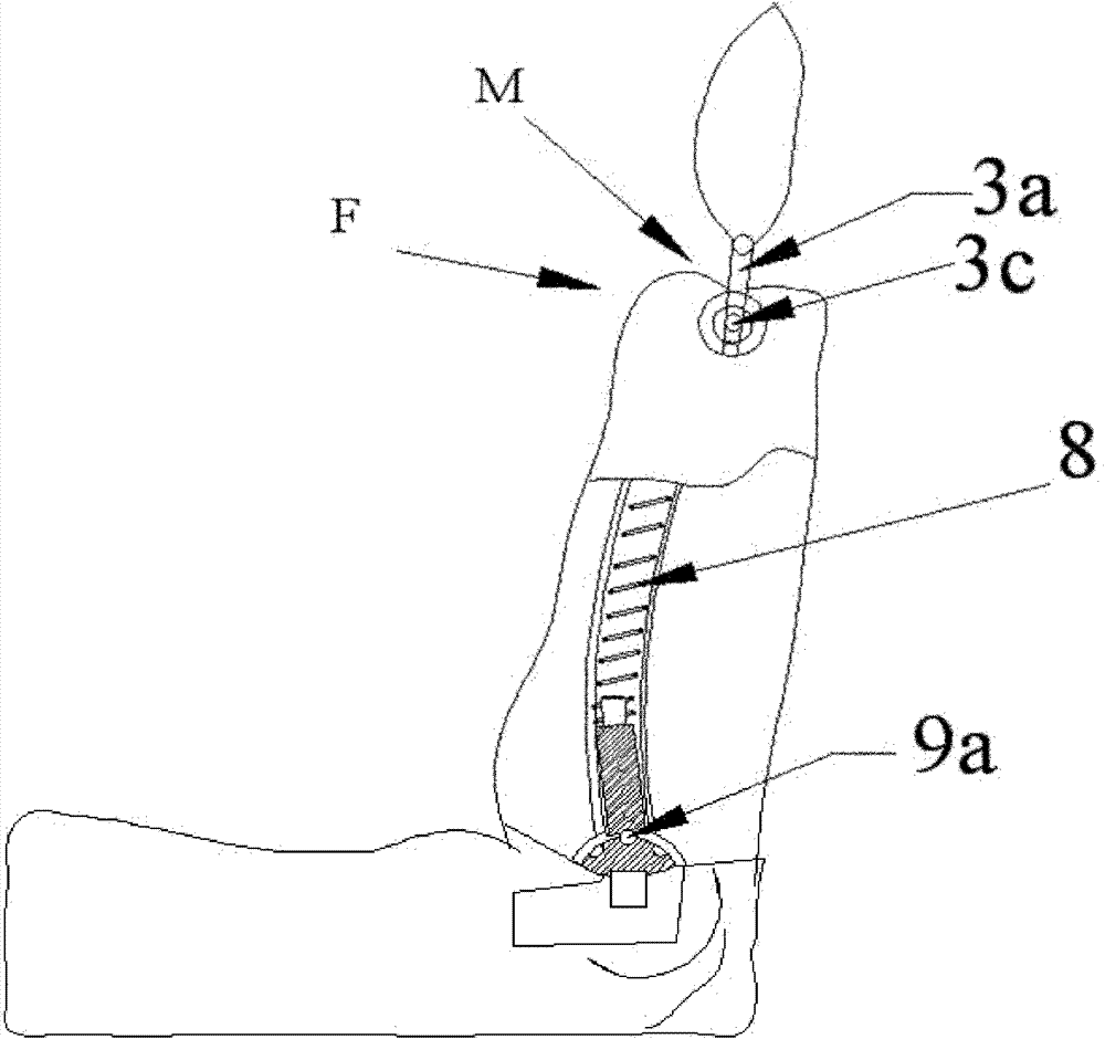 Automobile safety seat