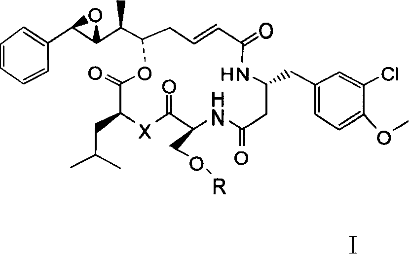 Anti-cancer active compound depside peptide as derivative of natural product