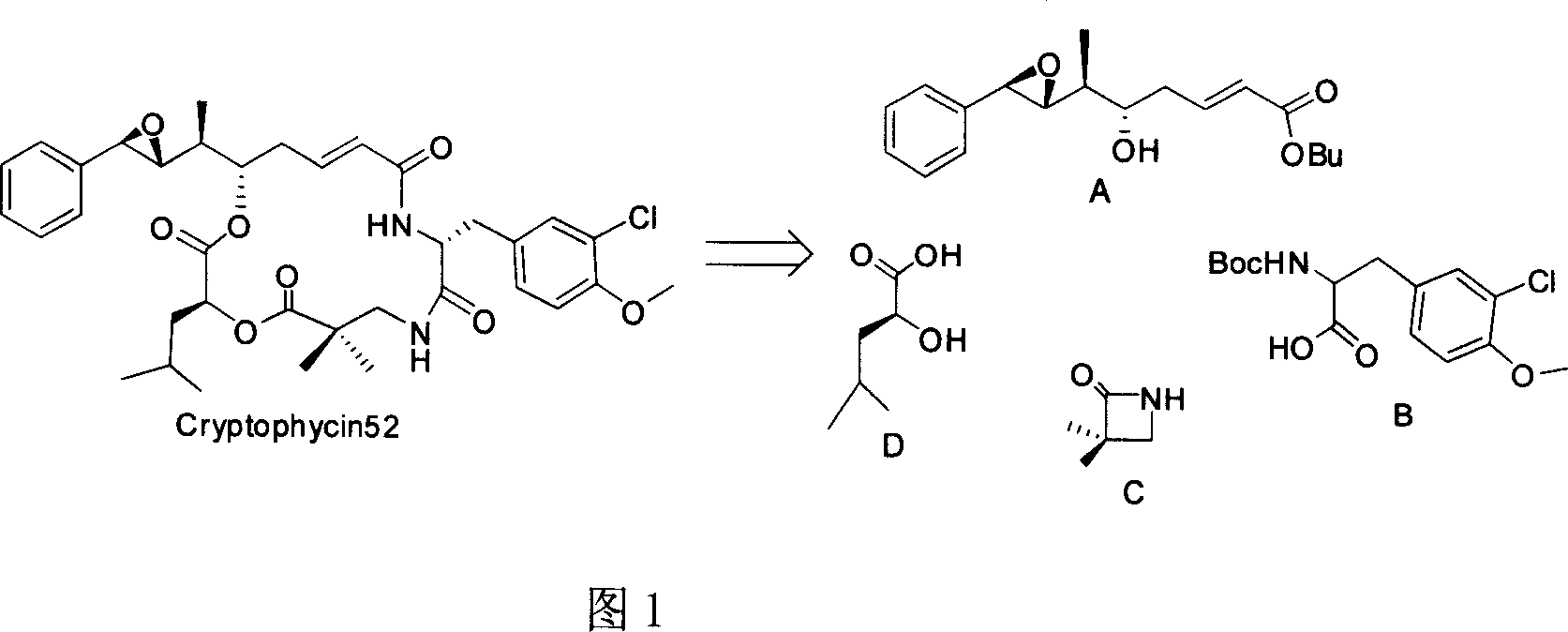 Anti-cancer active compound depside peptide as derivative of natural product