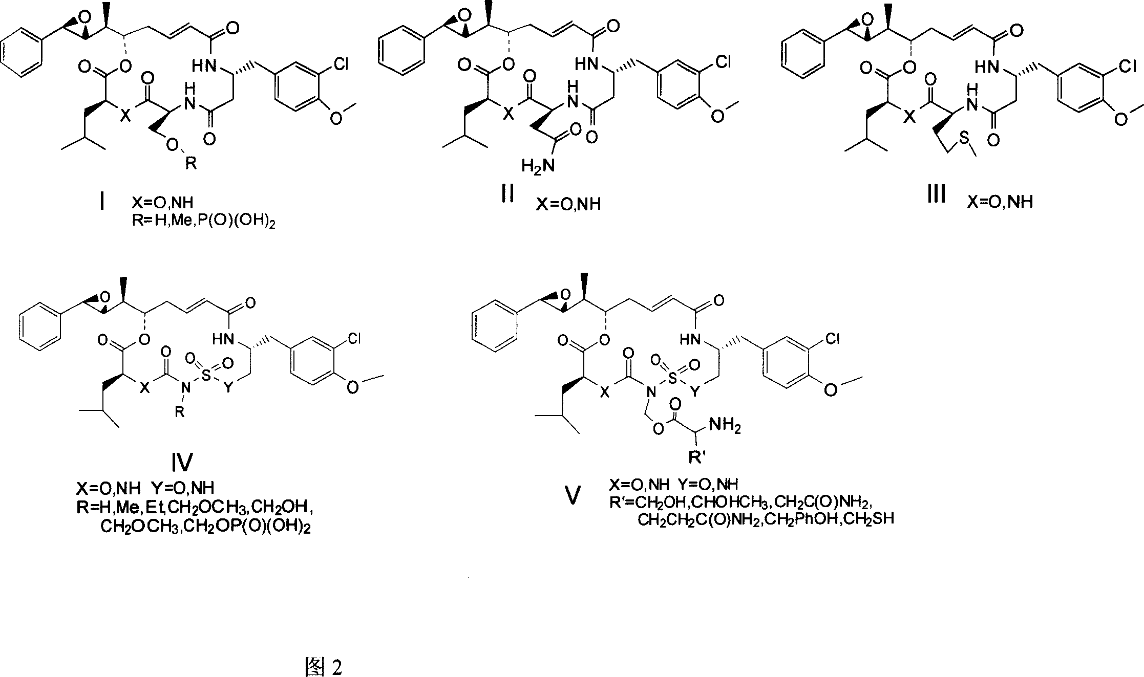 Anti-cancer active compound depside peptide as derivative of natural product