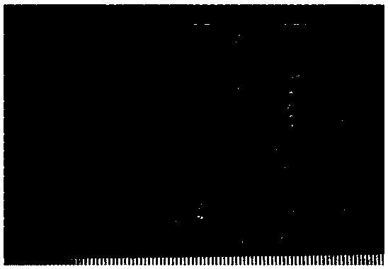 Three-dimensional silicon carbide fiber preform reinforced yttrium silicate composite material and preparation method thereof