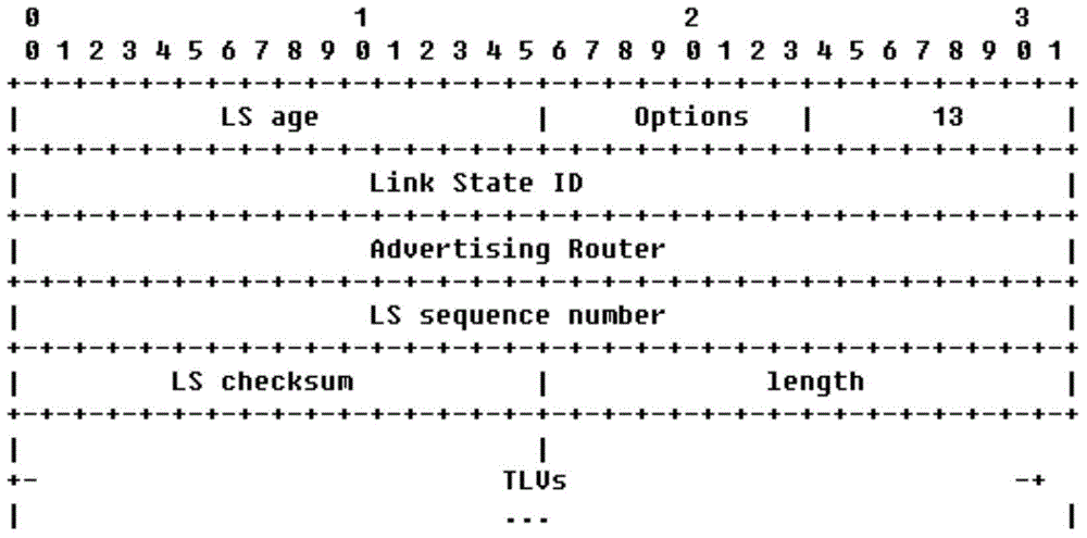 Network topology information acquisition method and device