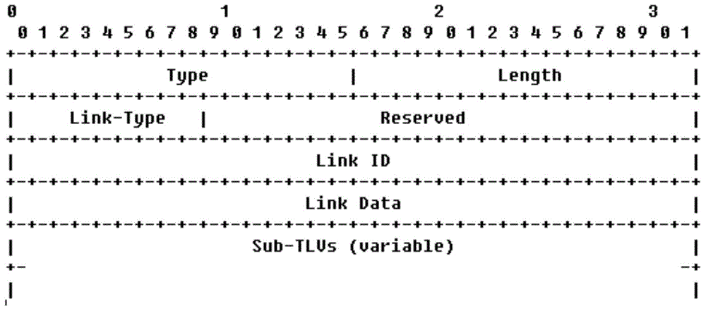 Network topology information acquisition method and device