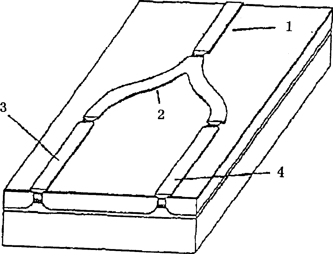 V type coupling cavity wavelength switchable semiconductor laser