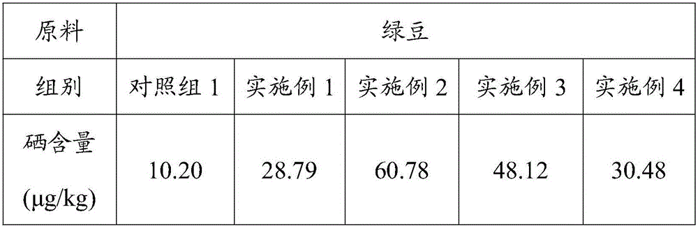 Planting method for selenium-iron-rich bean sprouts