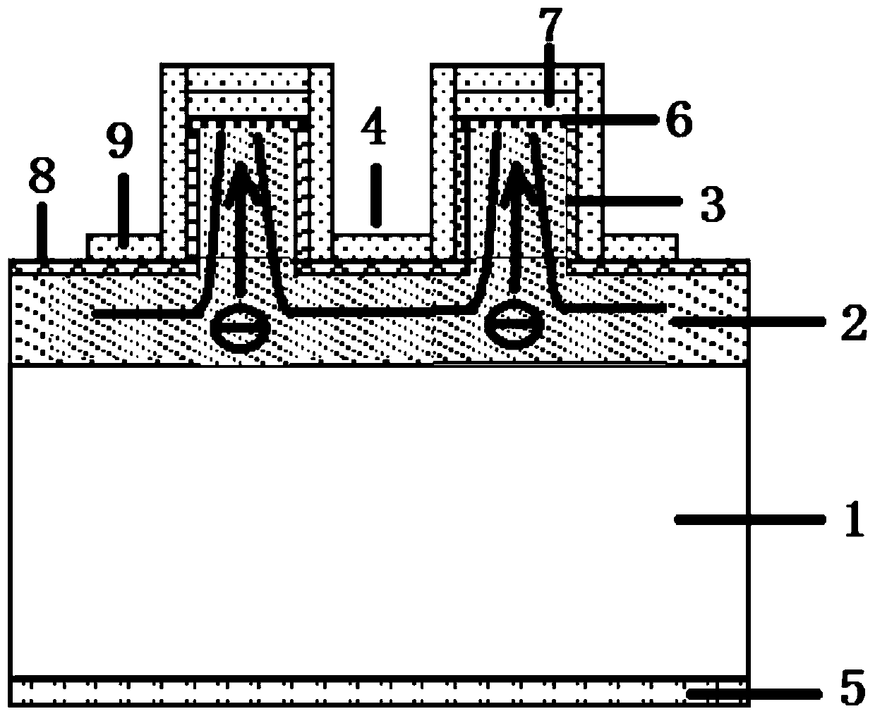 A kind of p-type diamond high and low potential barrier Schottky diode and its preparation method