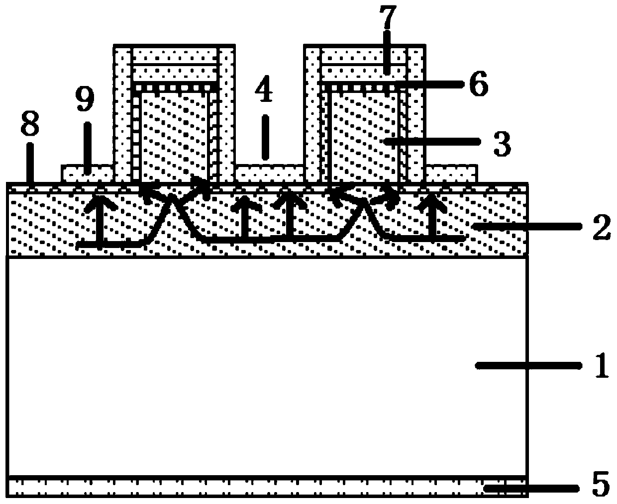 A kind of p-type diamond high and low potential barrier Schottky diode and its preparation method