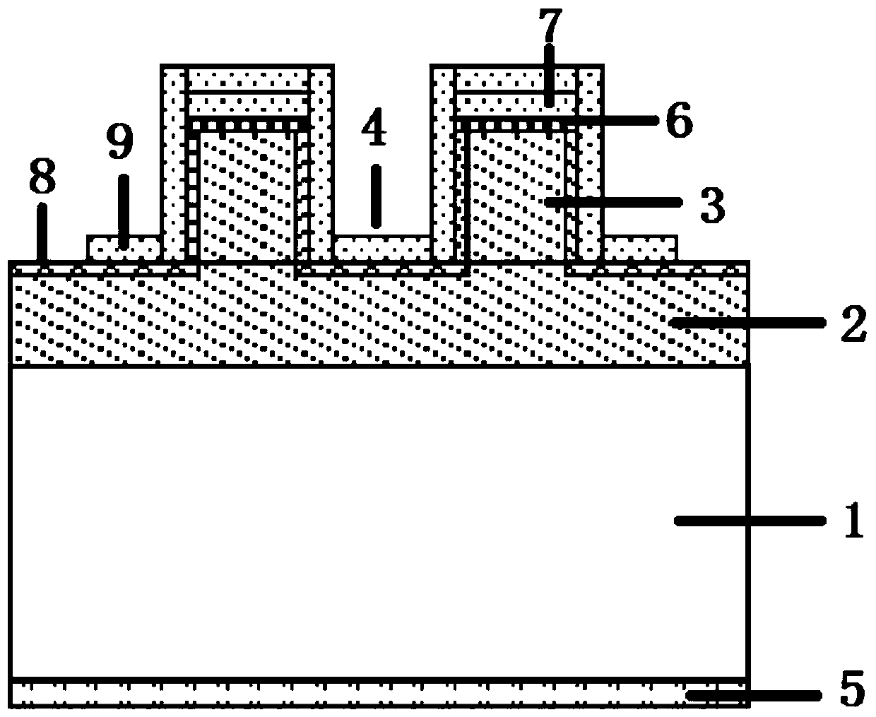 A kind of p-type diamond high and low potential barrier Schottky diode and its preparation method