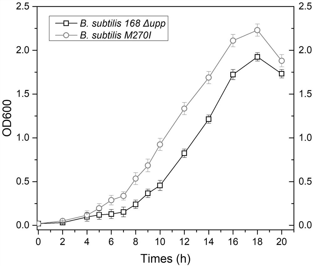 A kind of bacillus subtilis glycerol kinase mutant gene glpk and its application