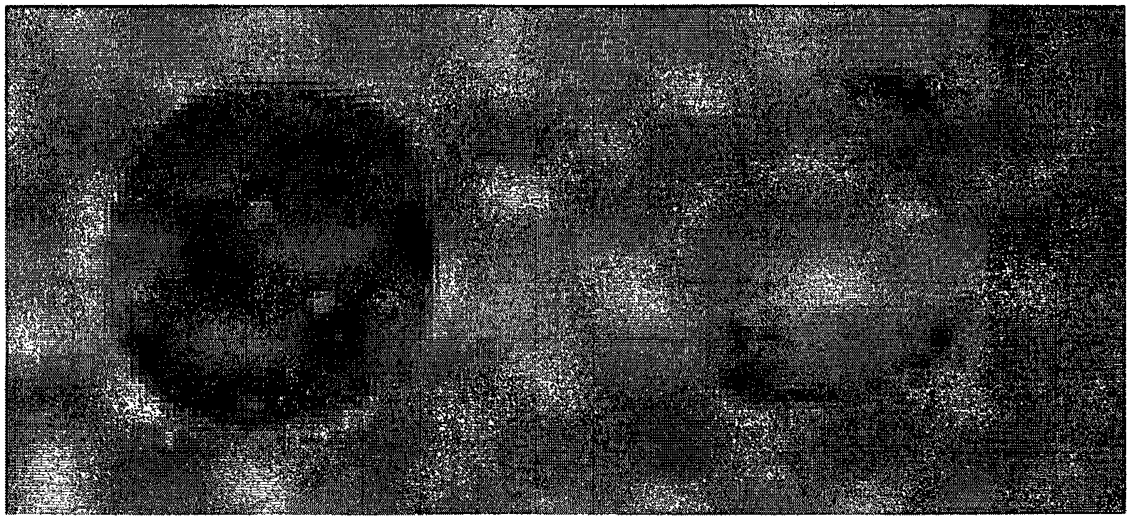 Phenyl-containing organopolysiloxane composition, raw cosmetic material, and glossy cosmetic material