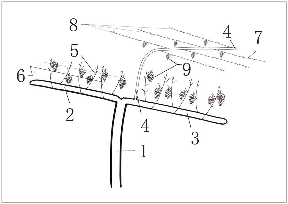 A vine shape suitable for a simple single-story shed and its construction method