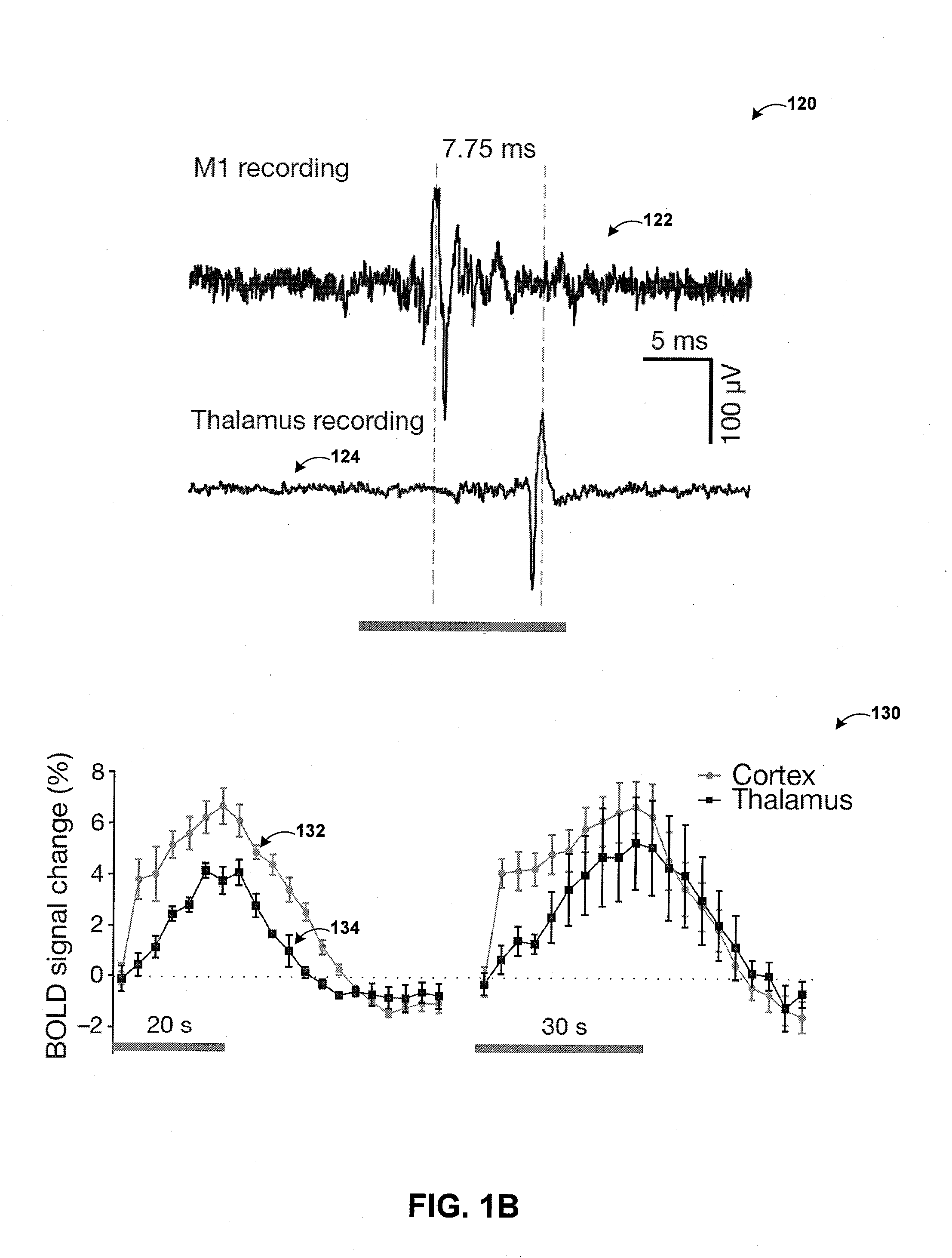 Optogenetic magnetic resonance imaging