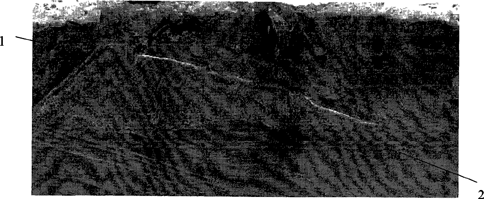 Battery casing and manufacturing process for the battery