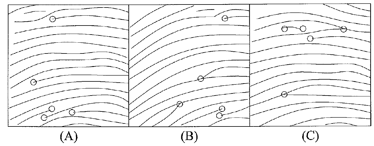 Fingerprint recognition method and device thereof