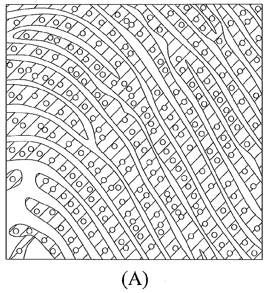 Fingerprint recognition method and device thereof