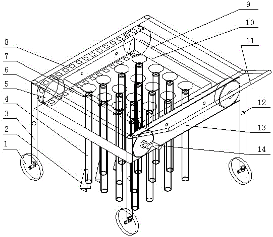 Bean sowing machine