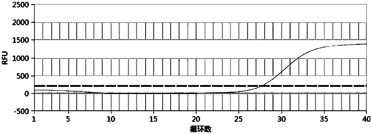 Detection kit and detection method for direct-expanded type MTHFR and/or MTRR and MTR gene polymorphisms