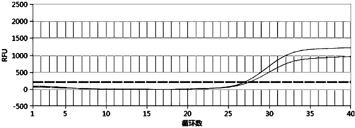 Detection kit and detection method for direct-expanded type MTHFR and/or MTRR and MTR gene polymorphisms