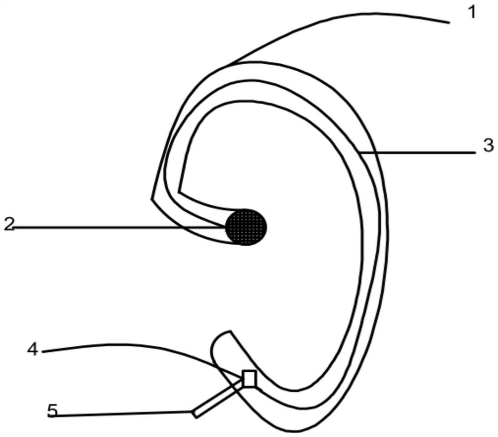 Hearing device that uses human motion to automatically generate electricity