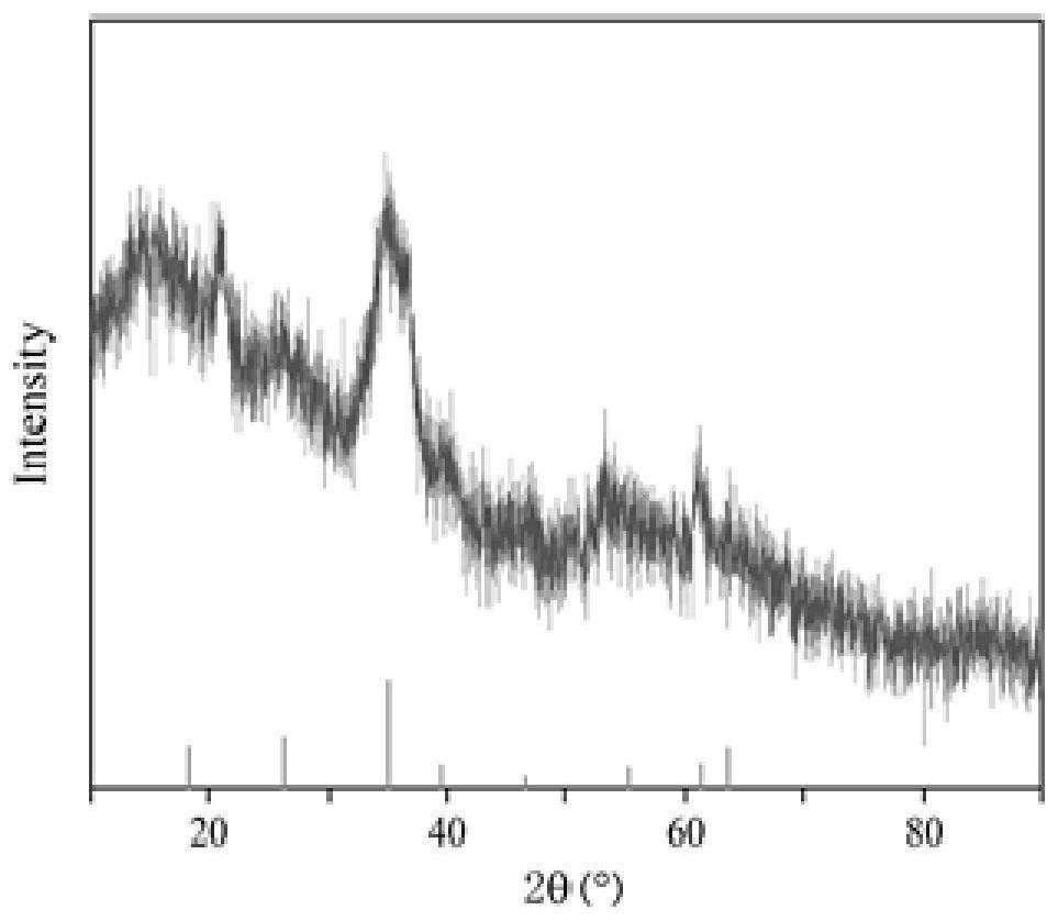 Preparation method and application of Schwertmannite