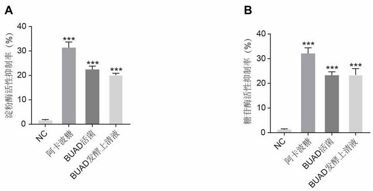 Bifidobacterium adolescentis and application thereof in metabolic syndrome